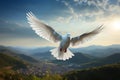 Feathered elegance Peaceful white dove soars high in the sky