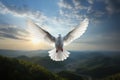 Feathered elegance Peaceful white dove soars high in the sky