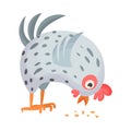 Feathered Hen as Farm Bird Pecking Grain Vector Illustration