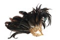 Feathered mask Royalty Free Stock Photo