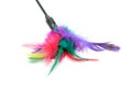 Feathered Pole Cat Toy Royalty Free Stock Photo