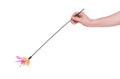 Feathered pole cat toy Royalty Free Stock Photo