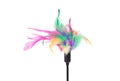 Feathered pole cat toy Royalty Free Stock Photo