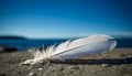 Feathered symbol of freedom flying over tranquil coastline at sunset generated by AI