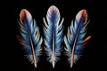 feathered three feathers arranged side by side each with a disti Royalty Free Stock Photo