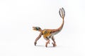 Feathered Velociraptor , Dinosaur on white background