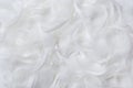 Feathers background Royalty Free Stock Photo