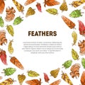 Feathers Banner with Ethnic Colorful Ornament and Place for Text, Boho Style Vector Illustration