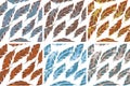 Feathers Bird seamless pattern set. Retro, doodle style. Feather endless background, texture, backdrop. Vector