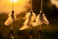 Feathers catch a dreams and wishes in the rays of the evening sun