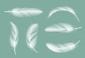 Feathers collection. Flying furry of goose vector realistic pictures isolated on transparent background