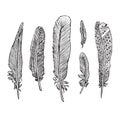 Feathers collection, hand drawn doodle sketch, isolated outline illustration