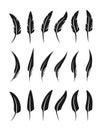 Feathers collection. Vector isolated silhouettes. Design elements Royalty Free Stock Photo
