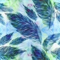 Feathers. Decorative composition.Seamless pattern. Decorative composition. Use printed materials, signs, items, websites, maps, po