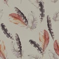 Feathers design. Seamless pattern