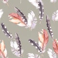 Feathers drawing. Watercolor seamless pattern. Royalty Free Stock Photo