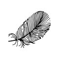 Feathers drawn by hand. Vector doodles for pattern design in boho style