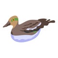 Feathers duck icon, isometric style Royalty Free Stock Photo