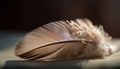 Feathers of elegance and beauty in nature generated by AI Royalty Free Stock Photo