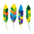 Feathers exotic colors icon Royalty Free Stock Photo