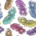 Feathers Flying Colorful Pattern Design