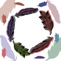 Feathers frame with colorful print.