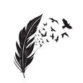 Feathers with free flying birds vector Royalty Free Stock Photo