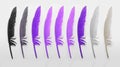 Feathers in gradient pink colors isolated on white background Royalty Free Stock Photo