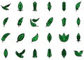 Feathers icons set vector flat
