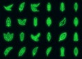 Feathers icons set vector neon