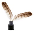 Feathers and ink bottle
