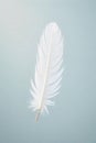 Feathers interacting with natural elements, such as water droplets or gentle breezes, evoking a sense of lightness. A single white Royalty Free Stock Photo