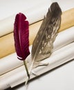 Quill pens and blanc rolled paper sheets lying on a table, vertical top view photo Royalty Free Stock Photo