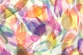 Feathers multicolored background in pastel colors. Feathers set pattern. Natural pastel feathers set in muted colors