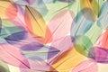 Feathers multicolored background in pastel colors. Feathers set pattern. Natural pastel feathers in muted colors