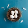 feathers in nest on blue backdrop minimalist Easter scene eggs