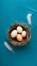 feathers in nest on blue backdrop minimalist Easter scene eggs