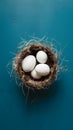 feathers in nest on blue backdrop minimalist Easter scene eggs