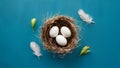 feathers in nest on blue backdrop minimalist Easter scene eggs