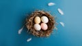 feathers in nest on blue backdrop minimalist Easter scene eggs