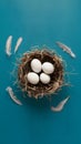 feathers in nest on blue backdrop minimalist Easter scene eggs