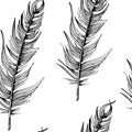 Feathers pattern. Hand-drawn sketch style bird feathers on white background. Seamless vector backdrop. Black and white.