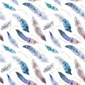 Feathers pattern. Watercolor elegant background. Watercolour bird.