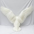 The feathers are pristine and well defined displaying a broad span and Royalty Free Stock Photo