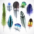 Feathers Realistic Set