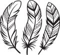 Feathers set with decorative patterns vector line art drawing illustration Royalty Free Stock Photo