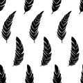 Feathers silhouettes seamless vector pattern isolated on white background Royalty Free Stock Photo