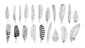 Feathers silhouettes set. Black and white realistic vector illustration Royalty Free Stock Photo