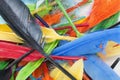 Feathers texture. Beautiful colored vibrant bird feather photo as background. Colorful feather pattern. Royalty Free Stock Photo