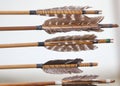 Feathers to ensure stability of the arrow